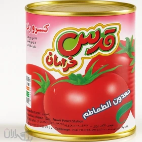 رب گوجه قدس خراسان 800 گرمی